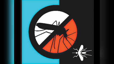 डेंगू के 9, चिकनगुनिया के 24 केस दर्ज
