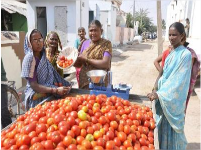 మరుగుదొడ్లుంటే కిలో టమాటా ఫ్రీ