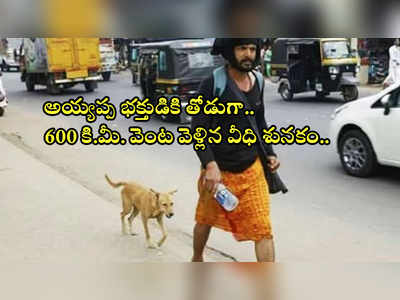 అయ్యప్ప భక్తుడికి తోడుగా శబరిమల వెళ్లిన వీధి కుక్క