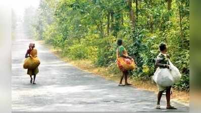 পাঁচশোর নোট দেখেননি বুধিরা