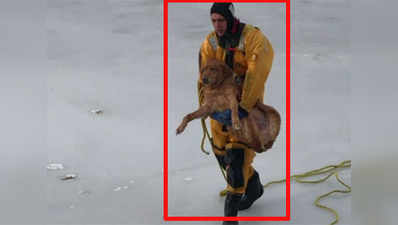 Caught on cam: Dog rescued from frozen lake 