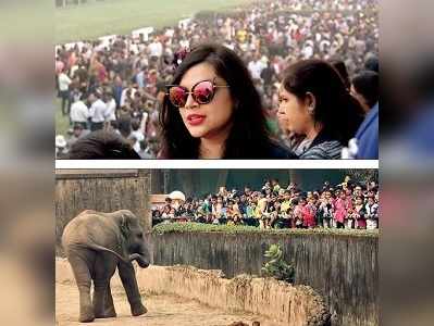 ‘দঙ্গলেই ’ বর্ষবরণ শহরে