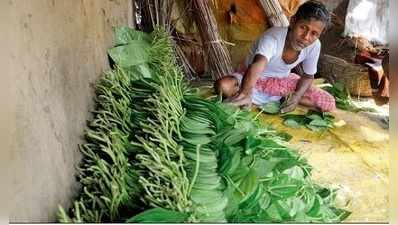 নোট-জট, গুটখার দাপটে কদর নেই পানের খিলির