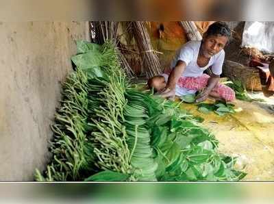 নোট-জট, গুটখার দাপটে কদর নেই পানের খিলির