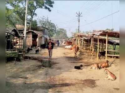 মোদী-নাম জপতে ব্যস্ত চর মেঘনা