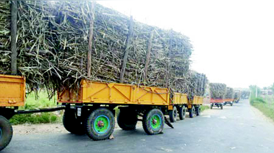 ಸಕ್ಕರೆ ಕಾರ್ಖಾನೆಗಳಿಗೆ ಕಬ್ಬಿನ ಬರ