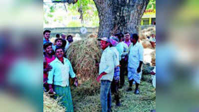 ಮೇವು ಬ್ಯಾಂಕ್‌ಗೆ ಮುಗಿಬಿದ್ದ ರೈತರು