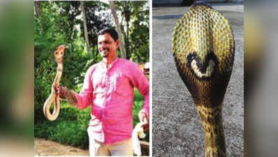 कर्नाटक में मिला फन पर दिल वाला अनूठा कोबरा