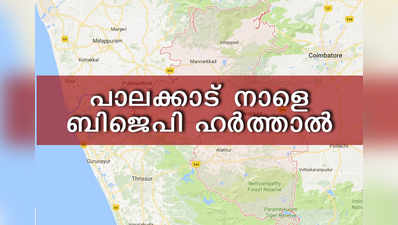 പാലക്കാട് നാളെ ബിജെപി ഹര്‍ത്താല്‍