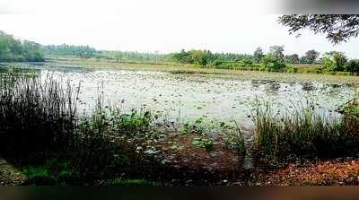 ತಾವರೆಕೆರೆ ನೀರು ಬಳಸಿದರೆ ಕಡಿತ ಗ್ಯಾರಂಟಿ