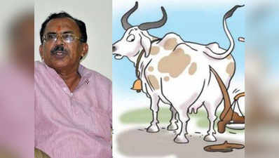 राजस्थान के शिक्षा मंत्री का बयान, गाय ऑक्सिजन छोड़ने वाली एकमात्र जीव