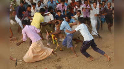 ನೆಲದ ಕಾನೂನಿನ ಮೇಲೆ ಜನರ ಭಾವನೆ ಸವಾರಿ ಸಲ್ಲ