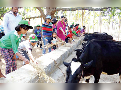 ನಗರ ಜನತೆಯ ವೀಕೆಂಡ್‌ ಮನರಂಜನೆ ಆಗುತ್ತಿದೆ ಕೃಷಿ