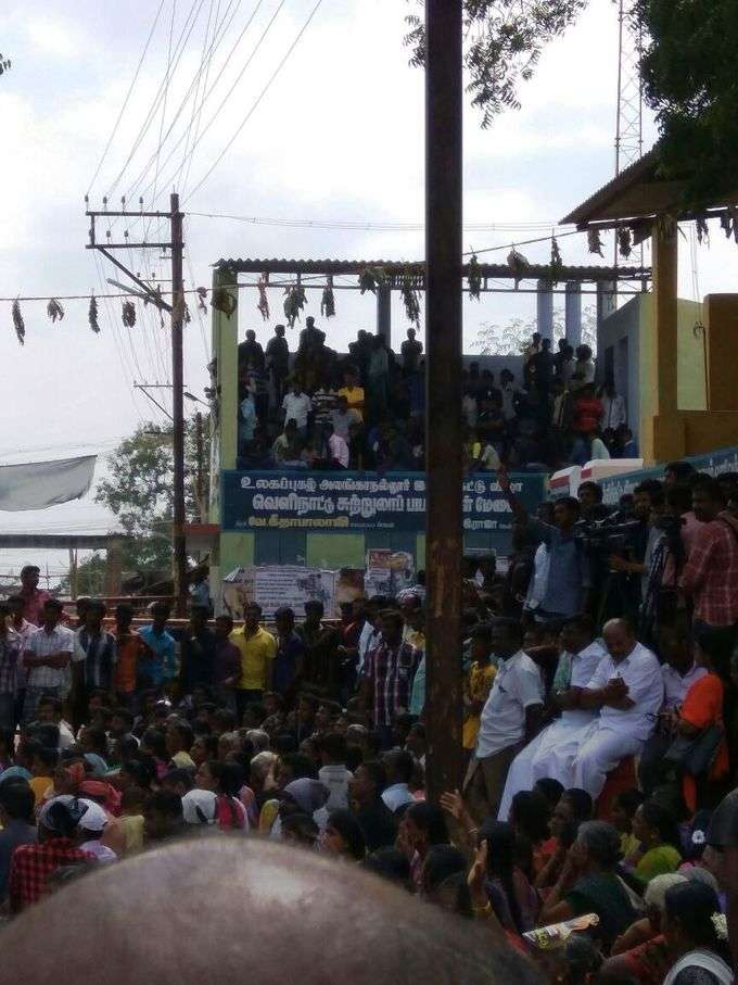 மதுரை அலங்காநல்லூரில் தொடர் போராட்டத்தில் ஈடுபட்டு வரும் மக்கள்!