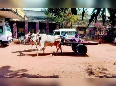 ಎತ್ತಿನಬಂಡಿಯಲ್ಲೇ ರೋಗಿಯ ಪಯಣ