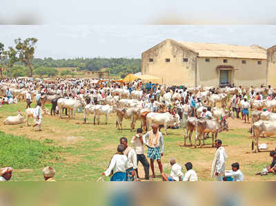 ಕೊಳ್ಳುವವರಿಗಿಂತ ಮಾರುವವರೇ ಹೆಚ್ಚು !