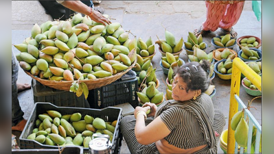 ಅವಧಿಗೆ ಮೊದಲೇ ಬಂದ ಹಣ್ಣುಗಳ ರಾಜ