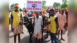 Kambala ban: Protests held across Mangaluru 