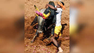 அலங்காநல்லூர், பாலமேட்டில் ஜல்லிக்கட்டு நடைபெறும் தேதிகள் அறிவிப்பு