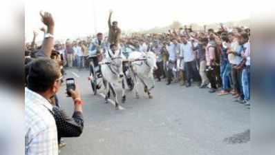 உடுமலைப்பேட்டையில் ரேக்ளா பந்தயம்!