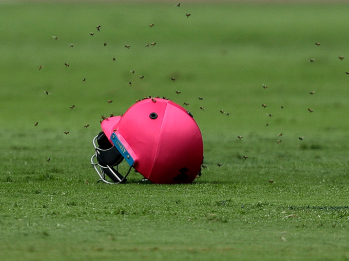 मधुमक्खियों का आतंक, मैदान पर लेट गए क्रिकेटर्स