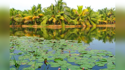 ಚೆಲುವಿನ ಆಸ್ವಾದನೆ