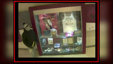 On cam: Thieves steal NBA stars memorabilia 