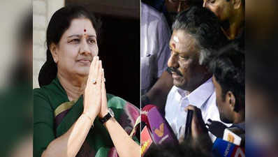 TN tangle: Panneerselvam, Sasikala meet governor 