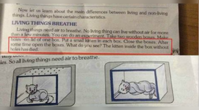 WTF: ক্লাস IV-এর বাচ্চাদের বই শেখাচ্ছে, বেড়ালছানা মারো!
