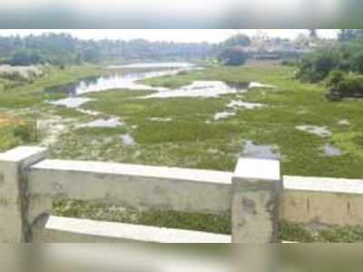 ಶಿಂಷೆ ಒಡಲಿಗೆ ಕಲುಷಿತ ನೀರು