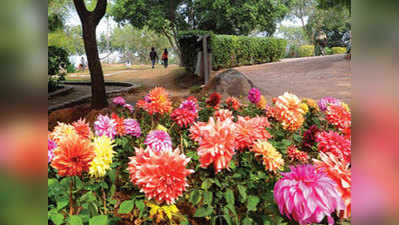 Delhi: Garden of Five Senses all decked up to host Garden Tourism Festival 