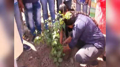 Students plant nearly 5,000 saplings in Surat 