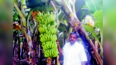 ಇರಾನ್‌ಗೆ ಪಯಣಿಸಿದ ಬುದ್ನಿ ಬಾಳೆ