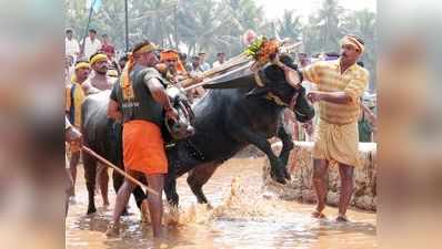 )ಕಂಬಳ ವಿಧೇಯಕ ರಾಷ್ಟ್ರಪತಿ ಪರಾಮರ್ಶೆಗೆ ರವಾನೆ