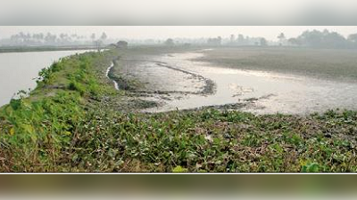 উন্নয়ন চেয়ে রামসার বিশেষজ্ঞকে ডাকল রাজ্য