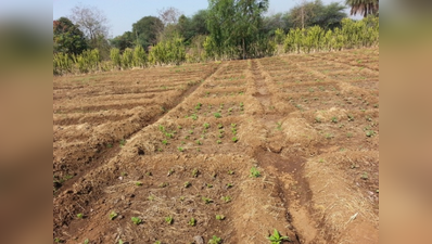 ಕೃಷಿಗೆ ಭೂಮಿ ಗುತ್ತಿಗೆ ಶ್ಲಾಘನೀಯ