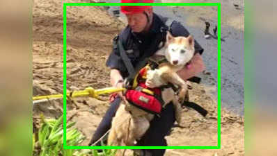 Dramatic! Firefighters rescue dog from cliff 