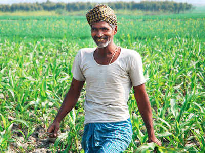 किसानों के लिए बेहद काम का है महिंद्रा का माय ऐग्री गुरू ऐप