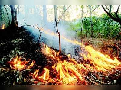 ಪಾಪನಾಶ ಕೆರೆಯ ಕಾಡಿಗೆ ಬೆಂಕಿ