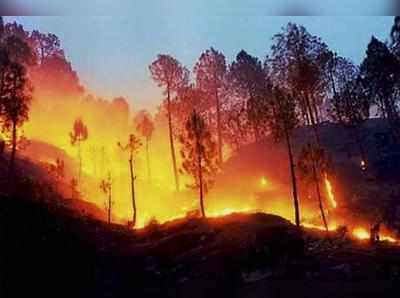 অগ্নিপরীক্ষা /২