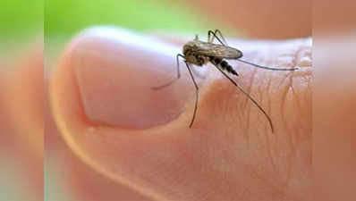 मच्छरों से हाई-टेक युद्ध की तैयारी में आंध्र प्रदेश