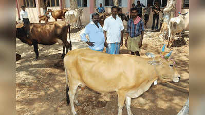 ಹಾಲು ಉತ್ಪಾದಕರಿಗೆ ಪ್ರತಿ ಕೆಜಿ ಹಾಲಿಗೆ 3 ರೂ. ಹೆಚ್ಚಳ