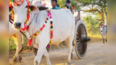 ನಿಶ್ಚಿತಾರ್ಥಕ್ಕೆ ಬಂಡಿಯಲ್ಲಿ ಪಯಣ