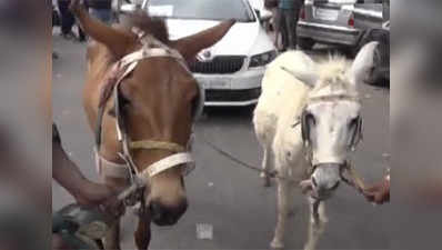 Tired of breakdown problem, man uses donkeys to pull his car in protest 