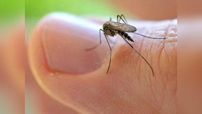 डेंगू रोकथाम में एमसीडी फेल, एजुकेशन सिस्टम में बेहतर संचालन का अभाव: कैग