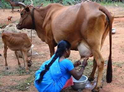 நாம் குடிக்கும் பால், உண்மையிலேயே பால் இல்லை என்பது தெரியுமா?