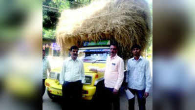 ಜಿಲ್ಲೆಯ ಗಡಿ ದಾಟಿ ಸಾಗಿಸುತ್ತಿದ್ದ ಹಸುವಿನ ಮೇವು ವಶ