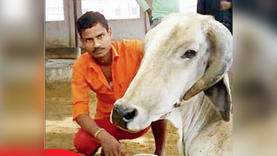 ಯೋಗಿ ದೇವಳದಲ್ಲಿ ಮುಸ್ಲಿಂ ಗೋಪಾಲಕ!