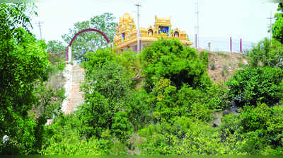 ಅಮರಗಿರಿ ರಂಗನಾಥಸ್ವಾಮಿ ಬೆಟ್ಟ