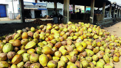 ಸ್ಟಾಕ್‌ ಇಲ್ಲದೆ ಕಂಗಾಲಾದ ತೆಂಗು ಬೆಳೆಗಾರ